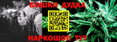 прущие грибы Новозыбков